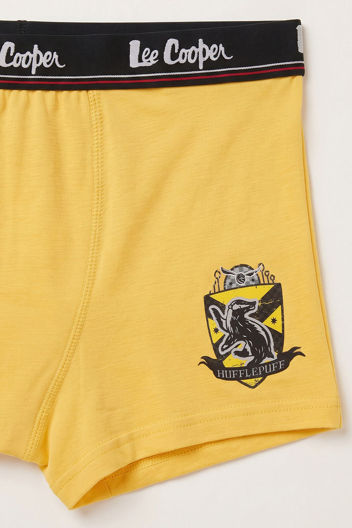Lee Cooper Boys Harry Potter Trunks (Pack of 3) - Multicolor — image 5